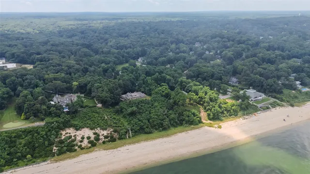 a view of a yard with a street