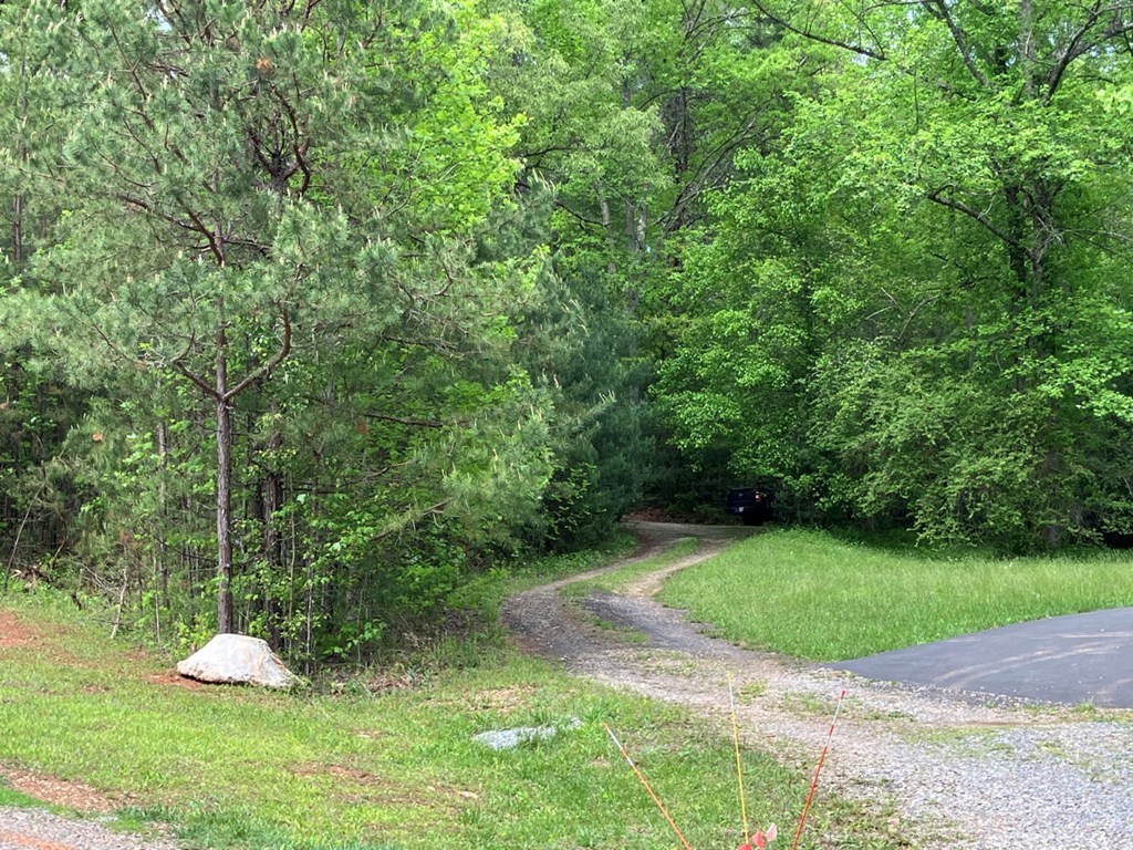 67 Brandys Way Murphy, NC 28906 - Photo 2 of 14 a view of a garden with a bench