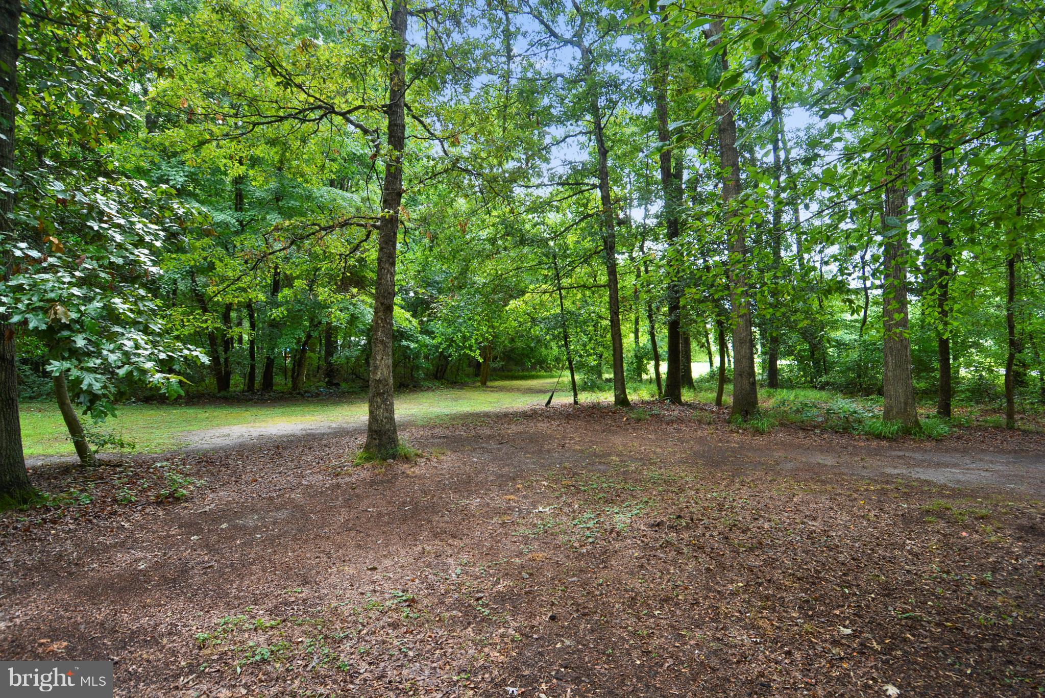 24882 Riverview Way Ridgely, MD 21660 - Photo 4 of 30 View from the Front Porch