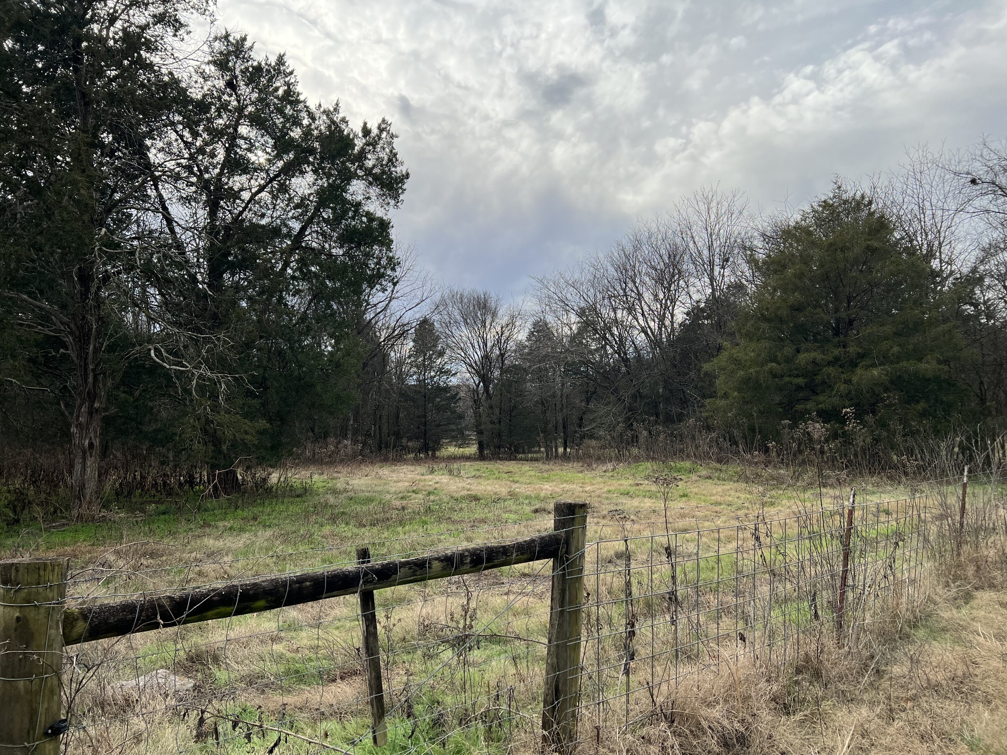 1 Pyles Road Chapel Hill, TN 37034 - Photo 15 of 32 a view of a yard with large trees