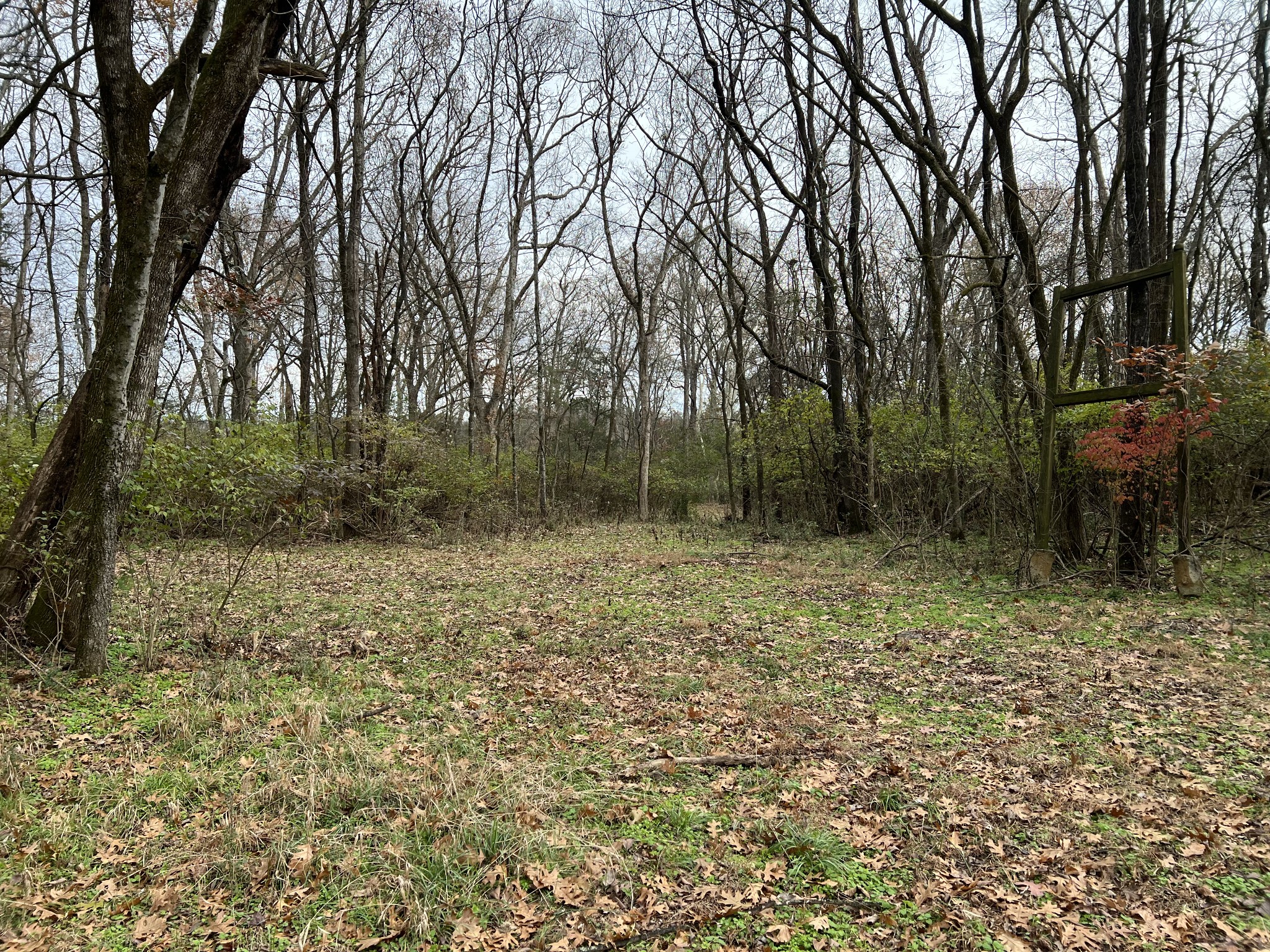 1 Pyles Road Chapel Hill, TN 37034 - Photo 19 of 32 a backyard of a house with lots of green space