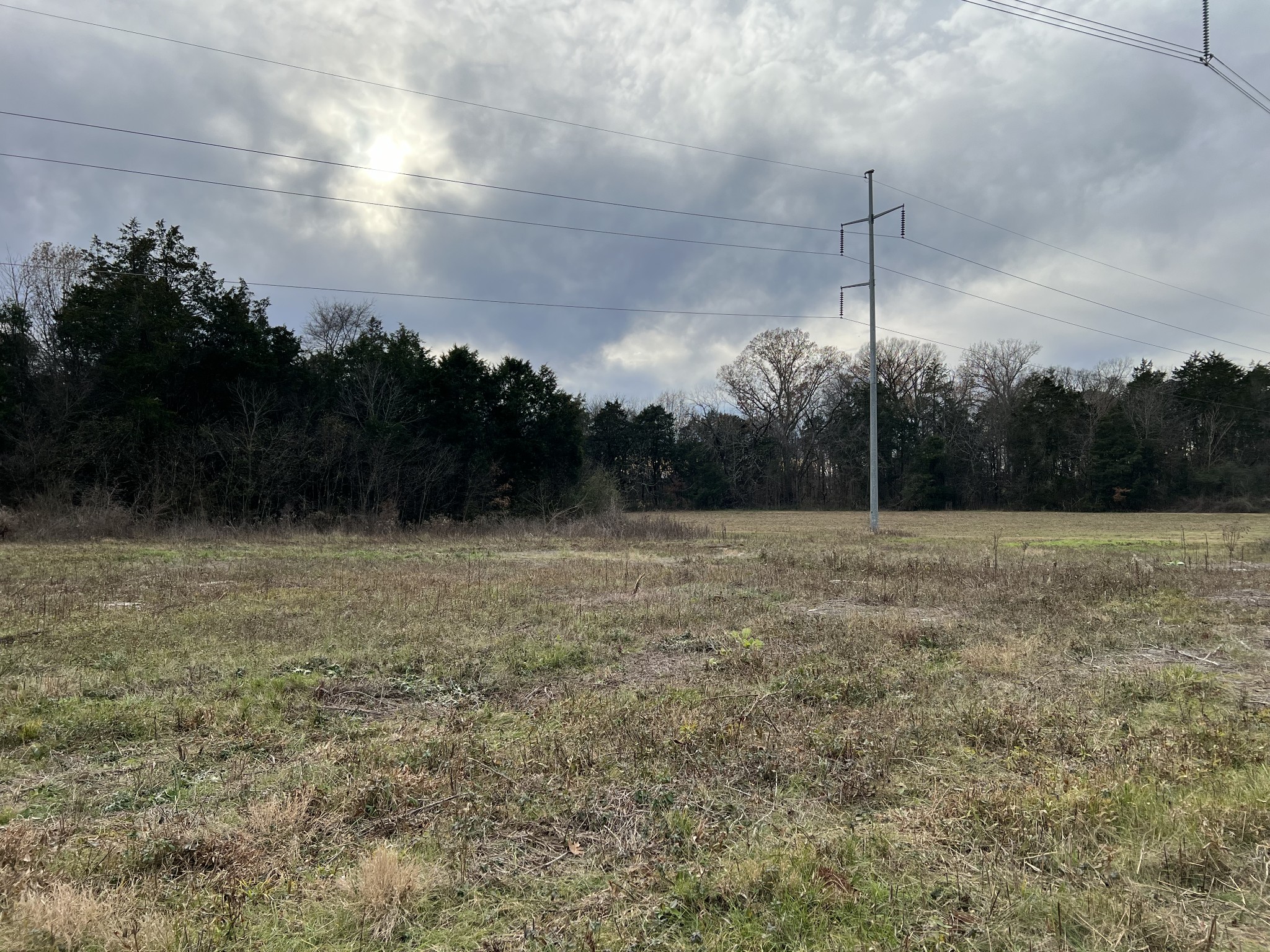 1 Pyles Road Chapel Hill, TN 37034 - Photo 20 of 32 a view of a field