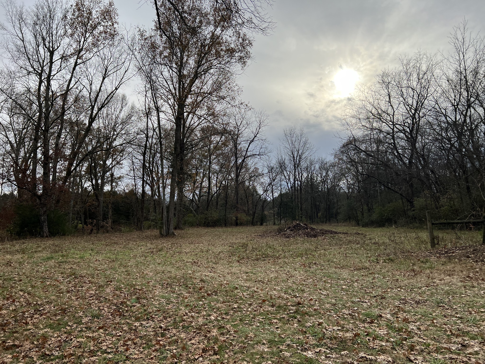 1 Pyles Road Chapel Hill, TN 37034 - Photo 2 of 32 a view of outdoor space with deck and trees