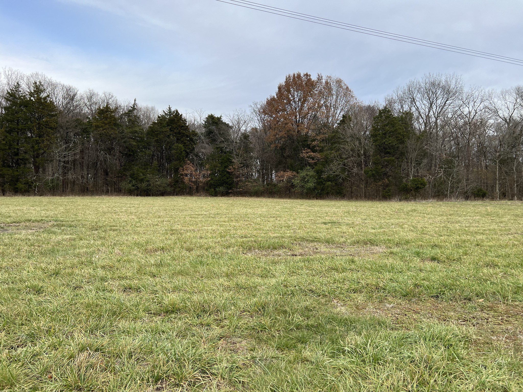 1 Pyles Road Chapel Hill, TN 37034 - Photo 21 of 32 a view of a pool with a yard