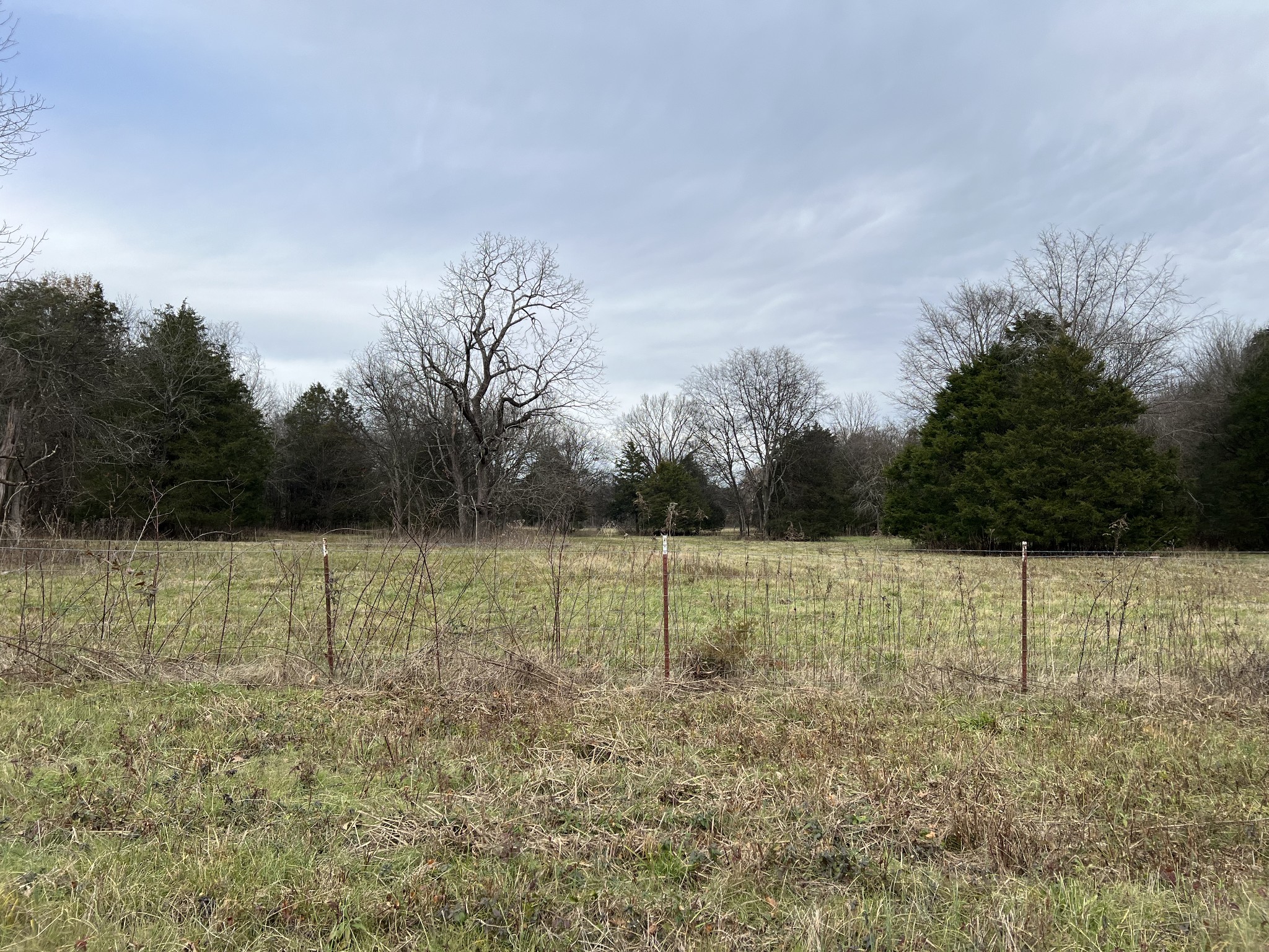1 Pyles Road Chapel Hill, TN 37034 - Photo 22 of 32 a view of outdoor space with deck and yard