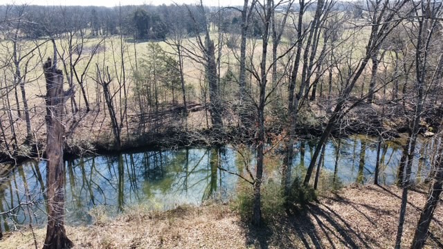 1 Pyles Road Chapel Hill, TN 37034 - Photo 26 of 32 a view of backyard with large tree and wooden fence