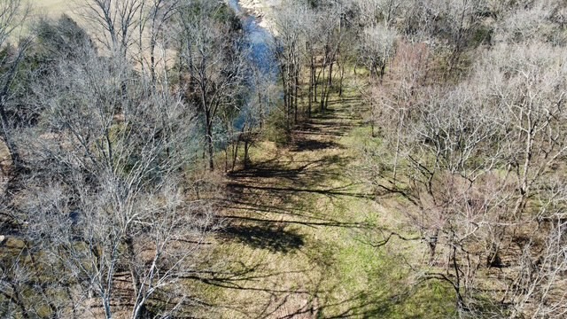 1 Pyles Road Chapel Hill, TN 37034 - Photo 28 of 32 a view of a yard with trees