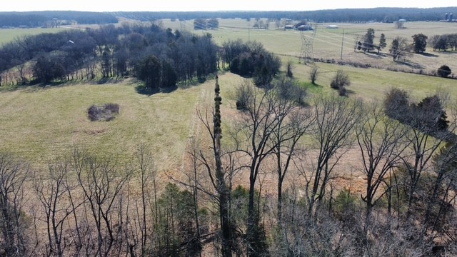 1 Pyles Road Chapel Hill, TN 37034 - Photo 29 of 32 a view of a lake with beach and mountain view