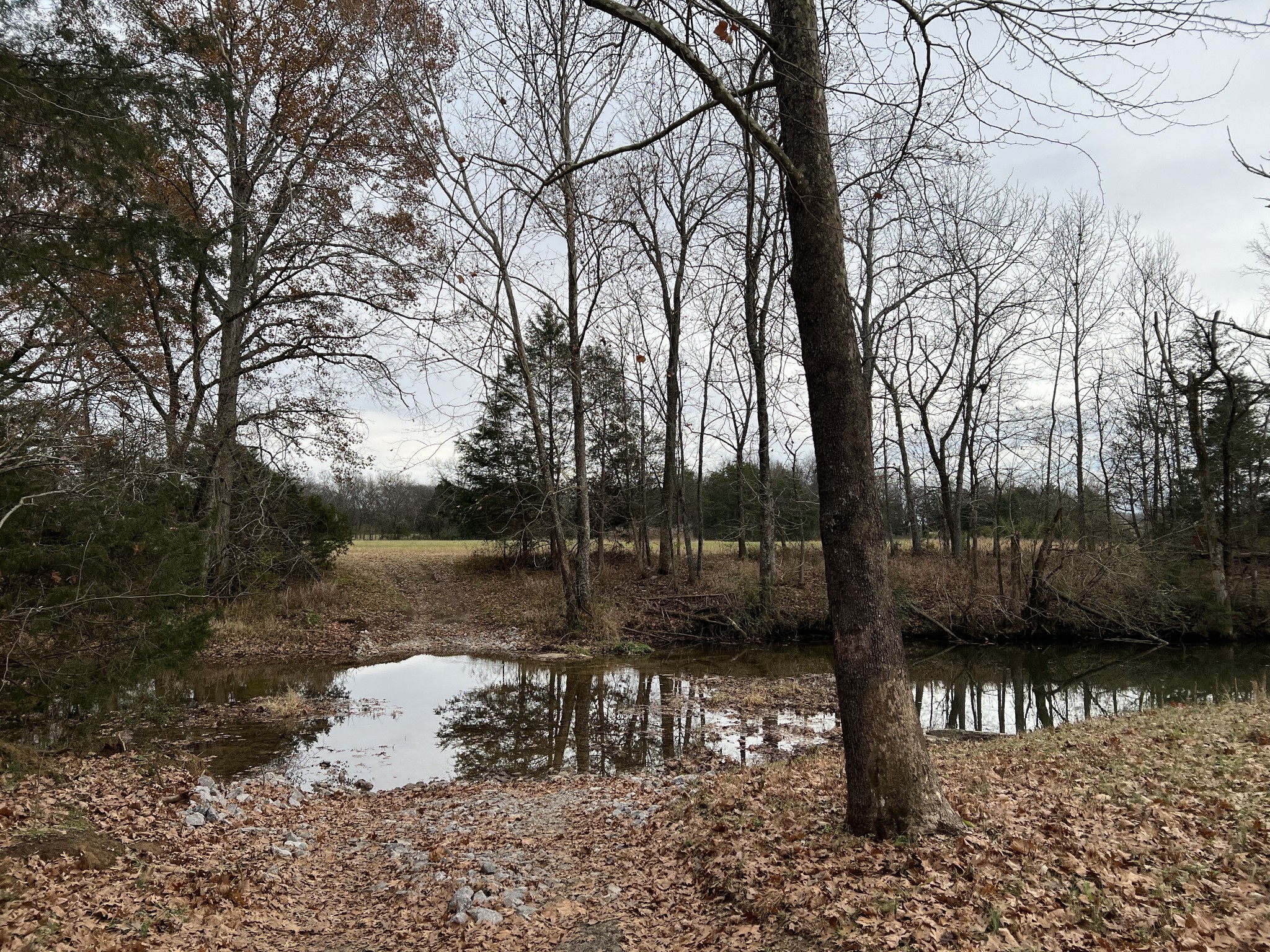 1 Pyles Road Chapel Hill, TN 37034 - Photo 3 of 32 a view of a lake with a bench