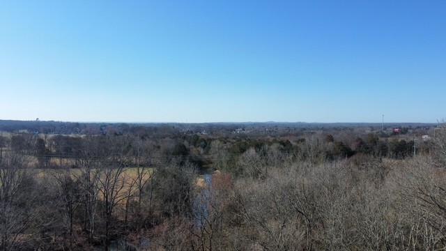 1 Pyles Road Chapel Hill, TN 37034 - Photo 32 of 32 a view of a lake with lots of trees