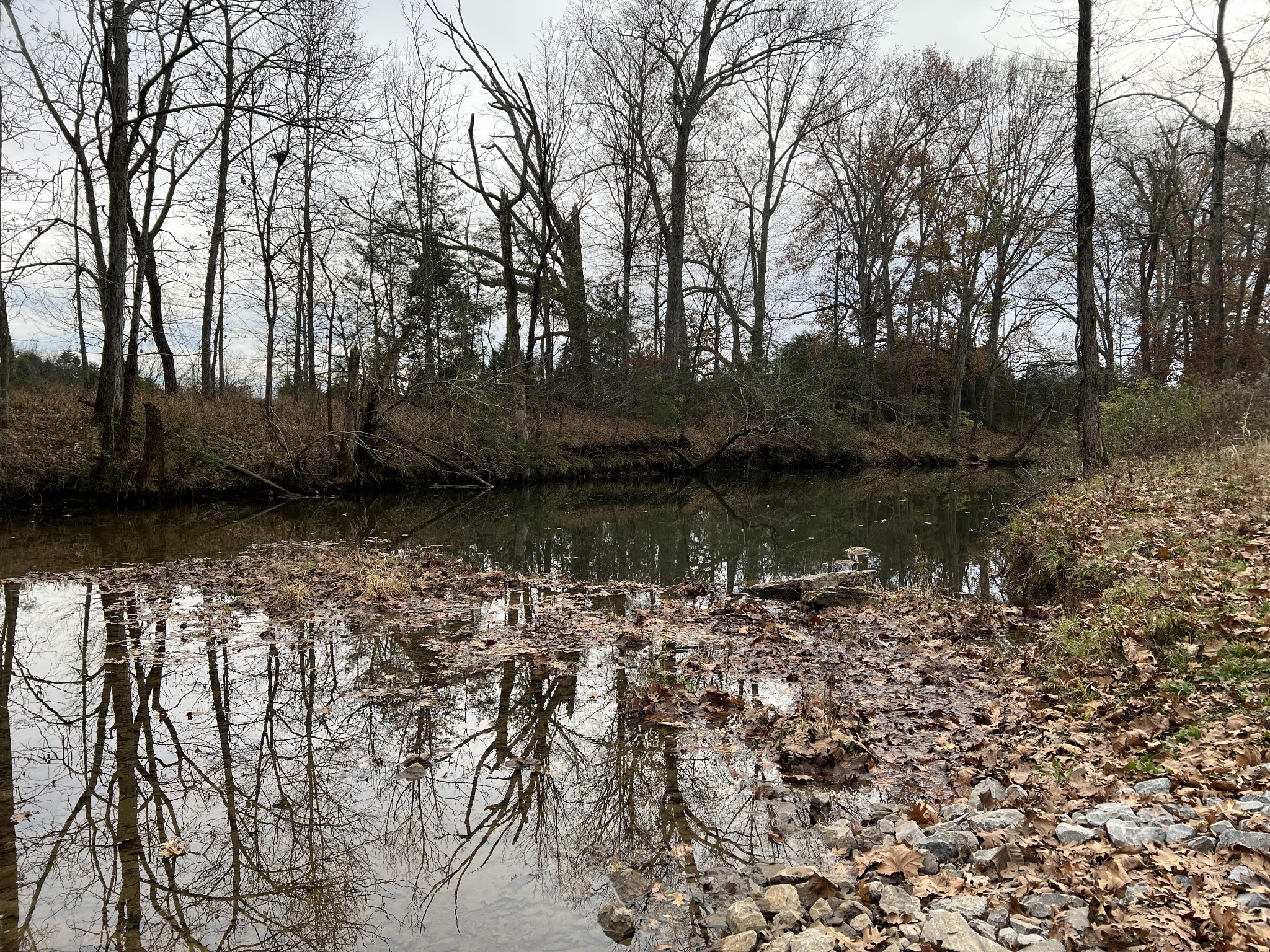 1 Pyles Road Chapel Hill, TN 37034 - Photo 6 of 32 a view of a lake with outdoor space