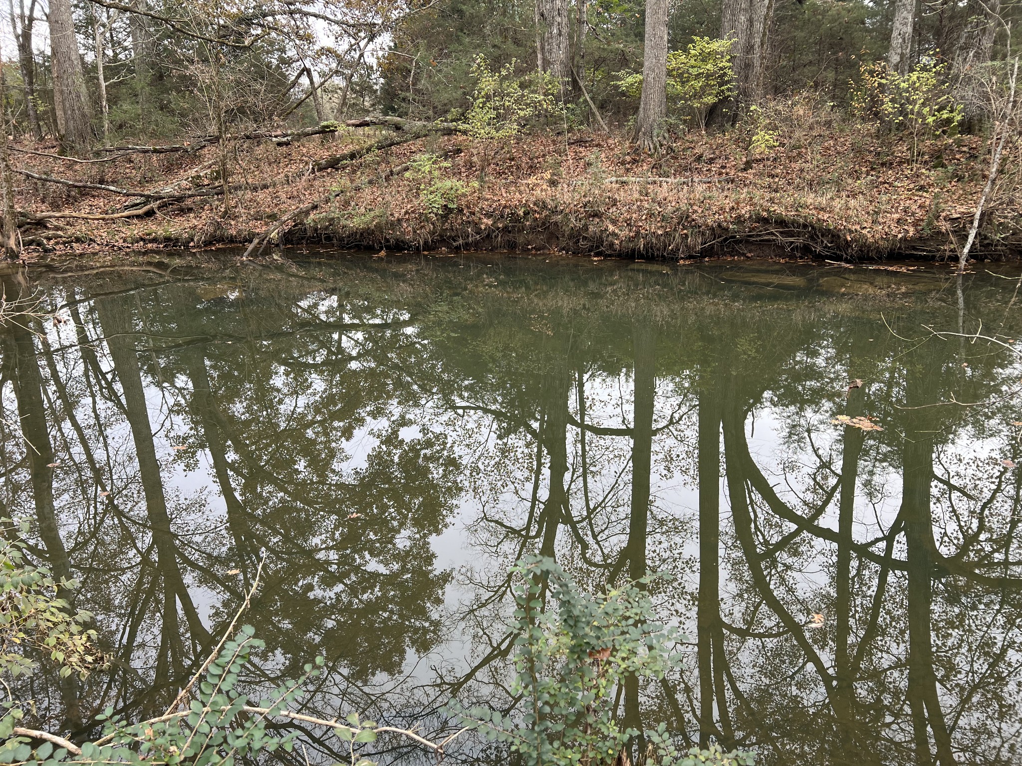 1 Pyles Road Chapel Hill, TN 37034 - Photo 8 of 32 a view of lake