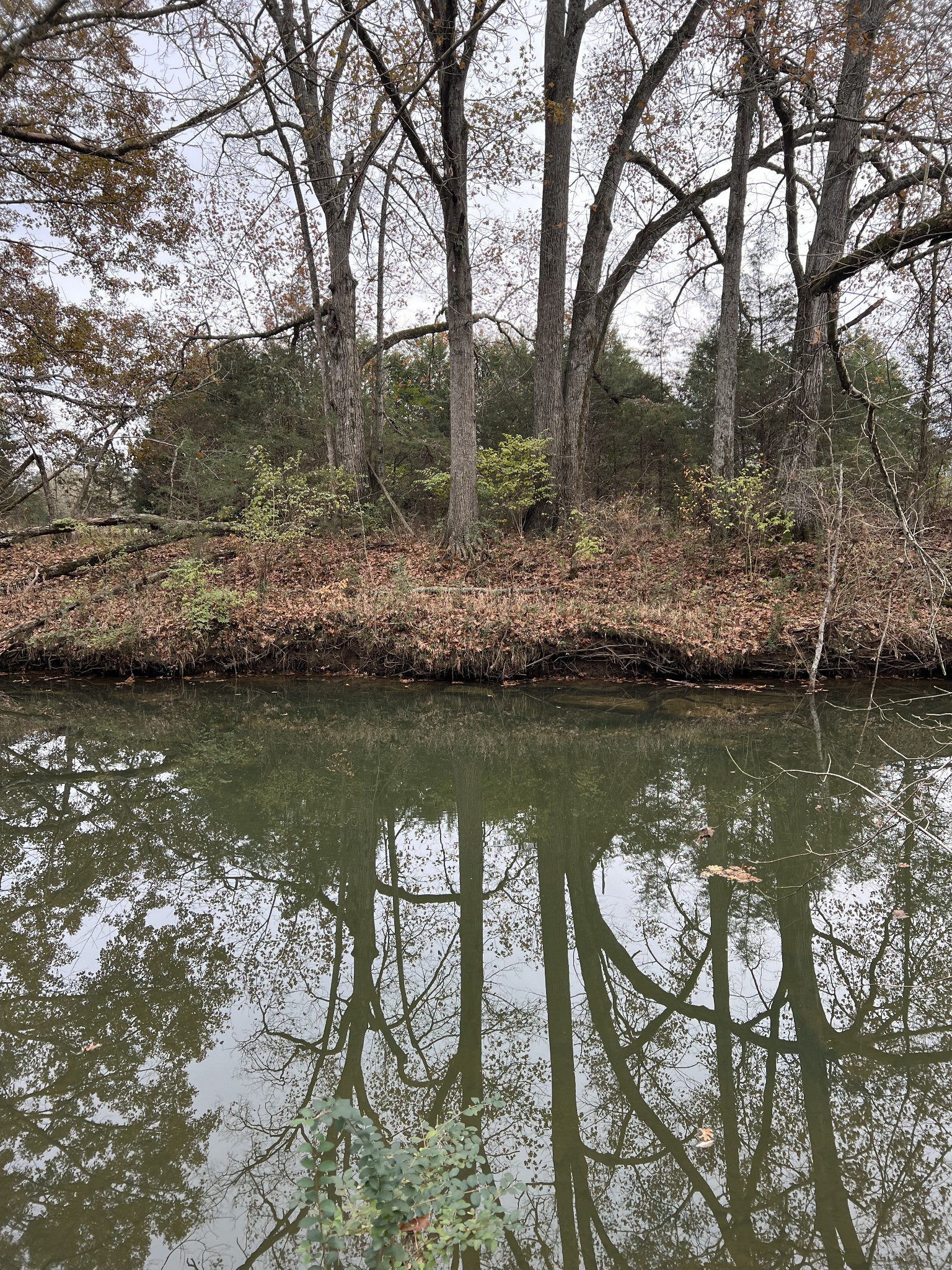 1 Pyles Road Chapel Hill, TN 37034 - Photo 9 of 32 a view of lake