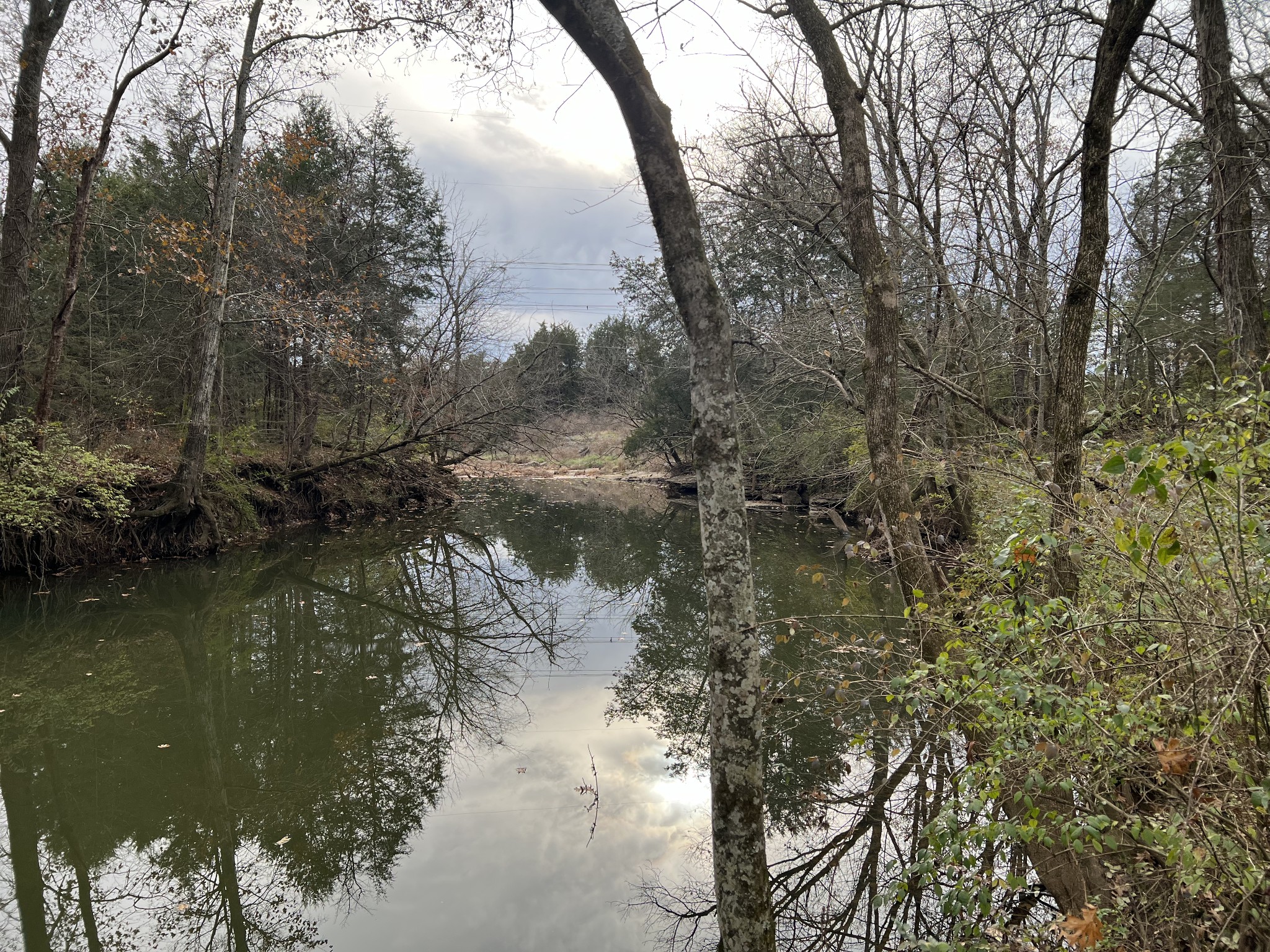 1 Pyles Road Chapel Hill, TN 37034 - Photo 10 of 32 a view of lake with green space