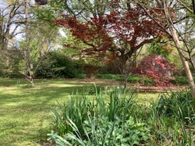 564 Alexander Street Memphis, TN 38111 - Photo 27 of 30 a view of a lush green space