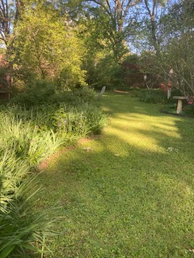 564 Alexander Street Memphis, TN 38111 - Photo 28 of 30 a view of a yard with an outdoor space