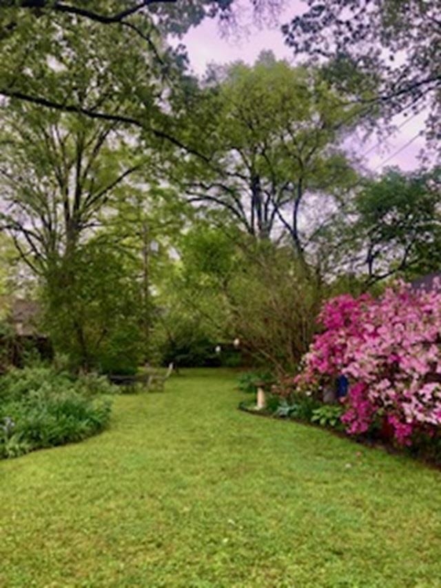 564 Alexander Street Memphis, TN 38111 - Photo 30 of 30 a view of a garden