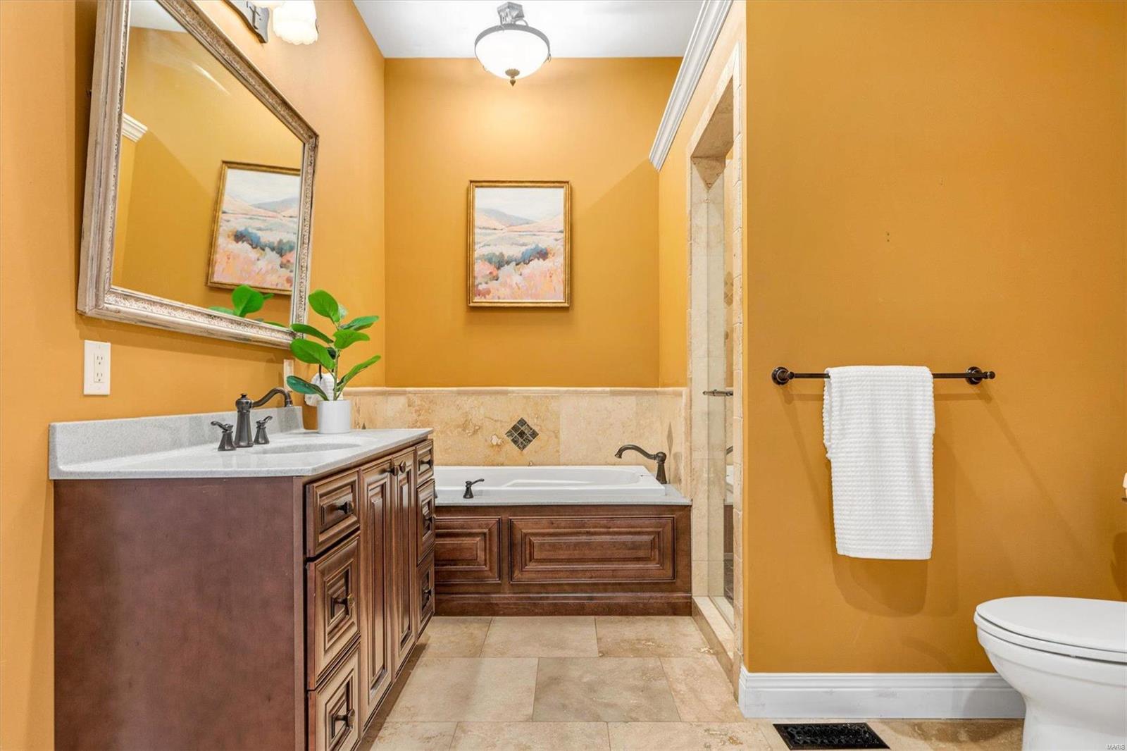 234 Nancy Place Ballwin, MO 63021 - Photo 19 of 51