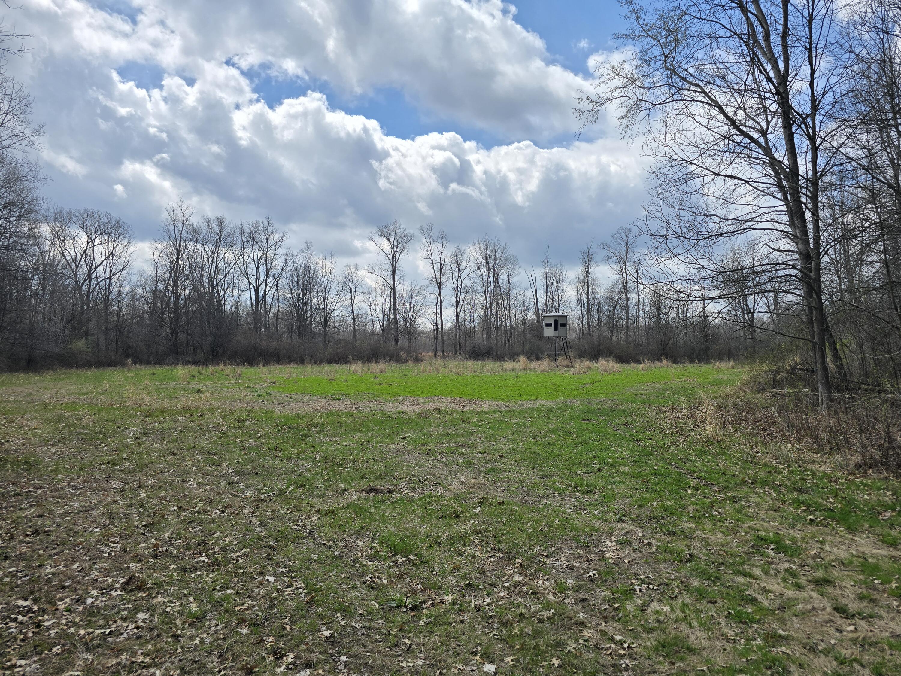 1284 Maplegrove Road Jackson, MI 49201 - Photo 24 of 45 20260413_131357