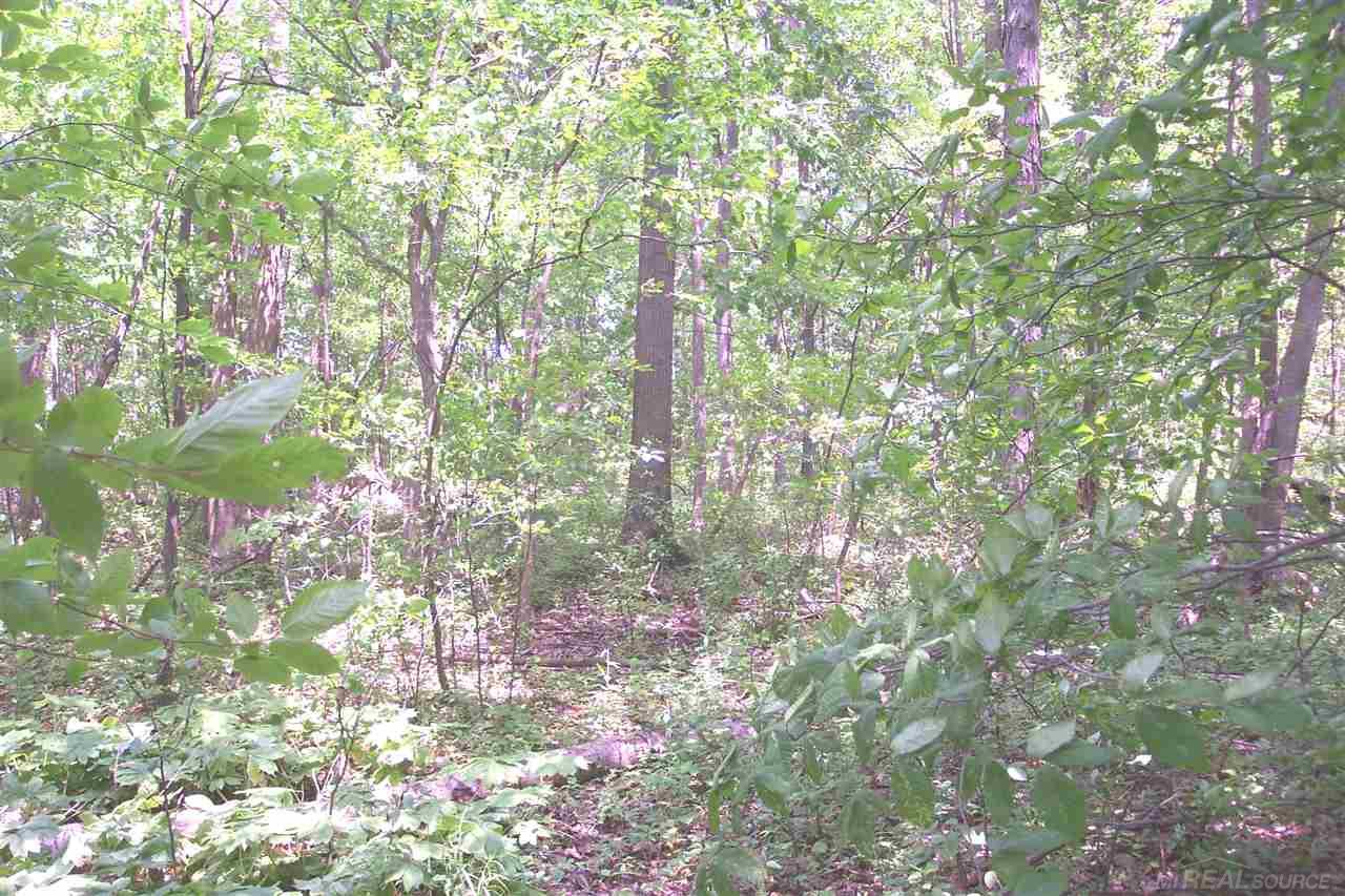 0 Kilgore Croswell, MI 48422 - Photo 7 of 9