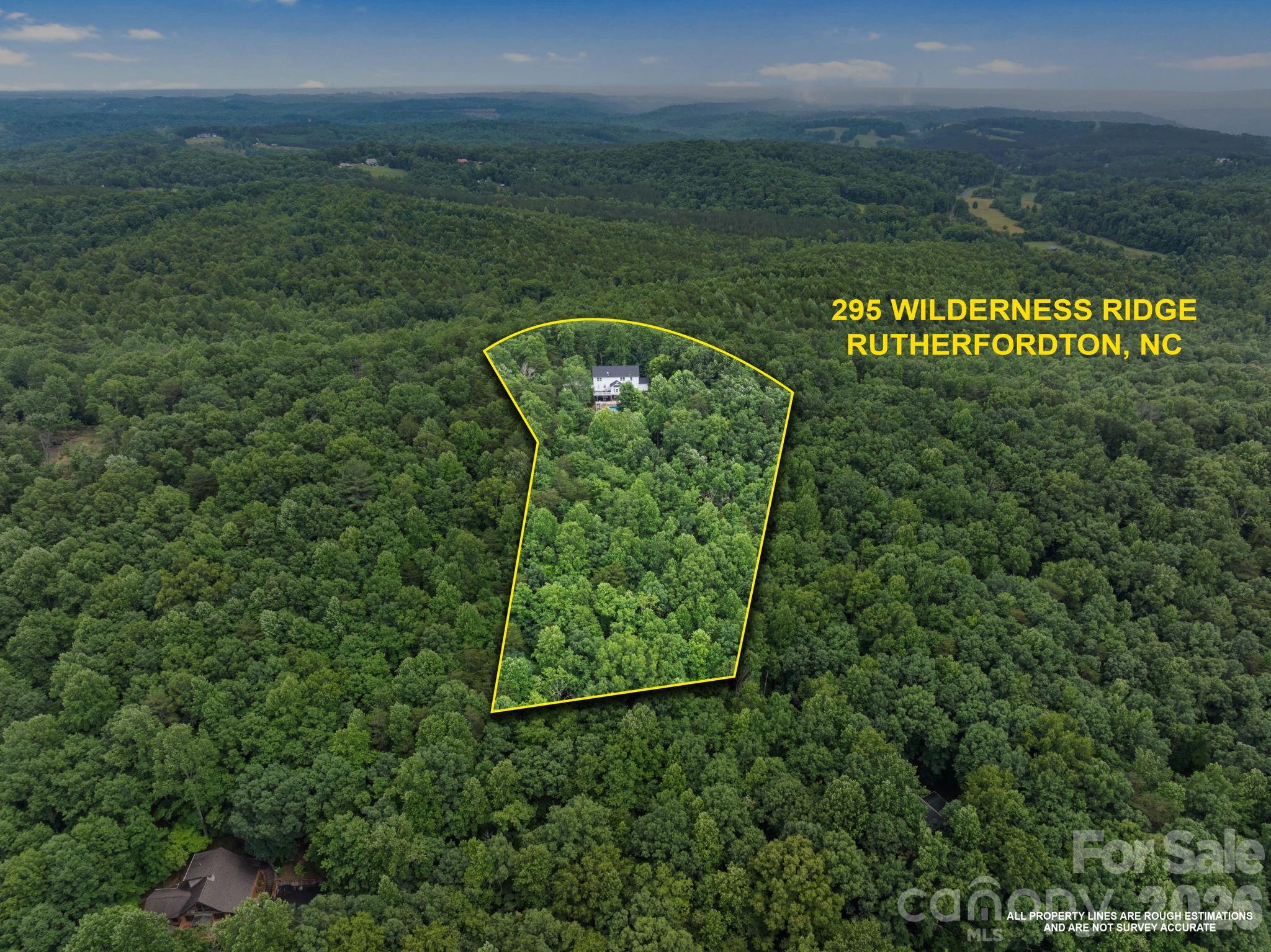 295 Wilderness Ridge Rutherfordton, NC 28139 - Photo 43 of 48