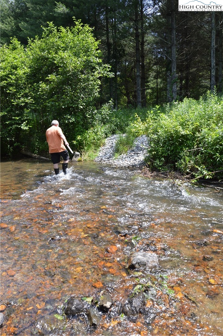 Fox Ridge Road Sparta, NC 28675 - Photo 11 of 40 a small garden covered with green space
