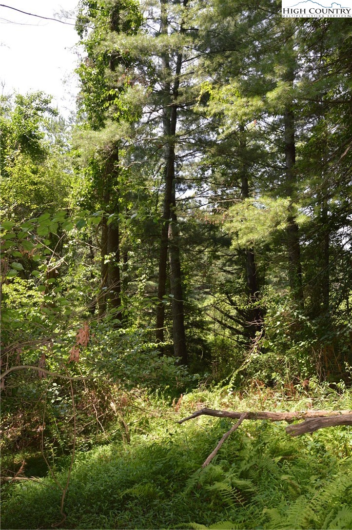 Fox Ridge Road Sparta, NC 28675 - Photo 16 of 40 a view of a yard