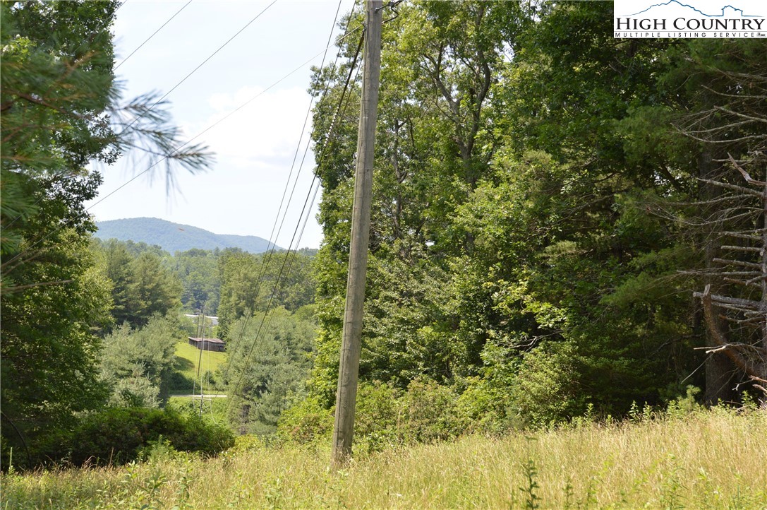 Fox Ridge Road Sparta, NC 28675 - Photo 17 of 40 a view of a garden