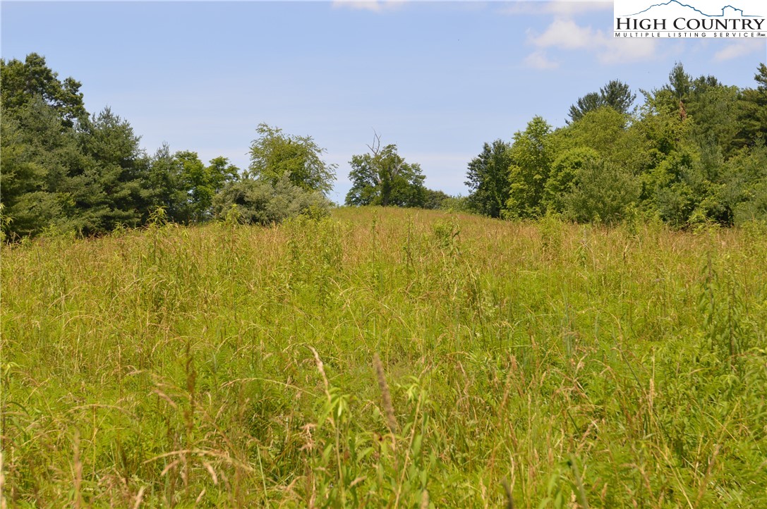 Fox Ridge Road Sparta, NC 28675 - Photo 19 of 40 a view of a lake with a tree in the background