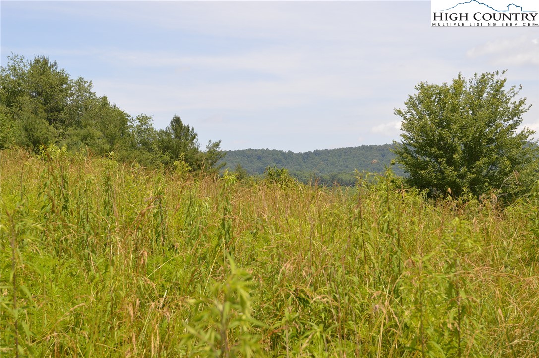 Fox Ridge Road Sparta, NC 28675 - Photo 2 of 40 a view of lake and mountain