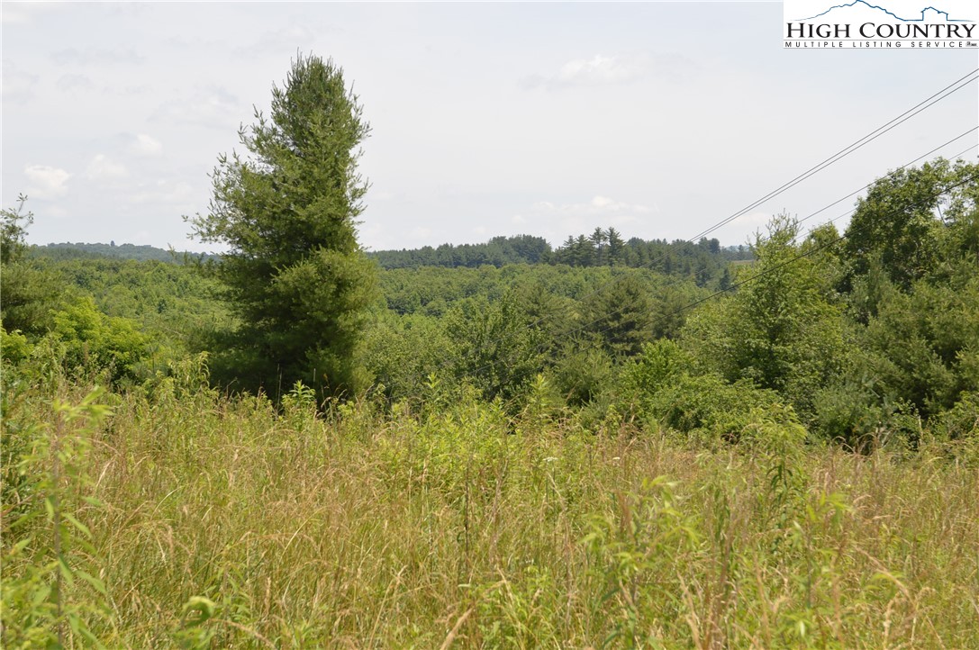 Fox Ridge Road Sparta, NC 28675 - Photo 21 of 40 a view of a field of grass and trees