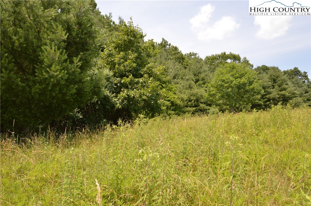 Fox Ridge Road Sparta, NC 28675 - Photo 22 of 40 a view of a lake view