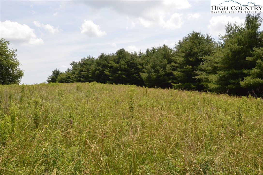 Fox Ridge Road Sparta, NC 28675 - Photo 23 of 40 a view of mountain with lake view
