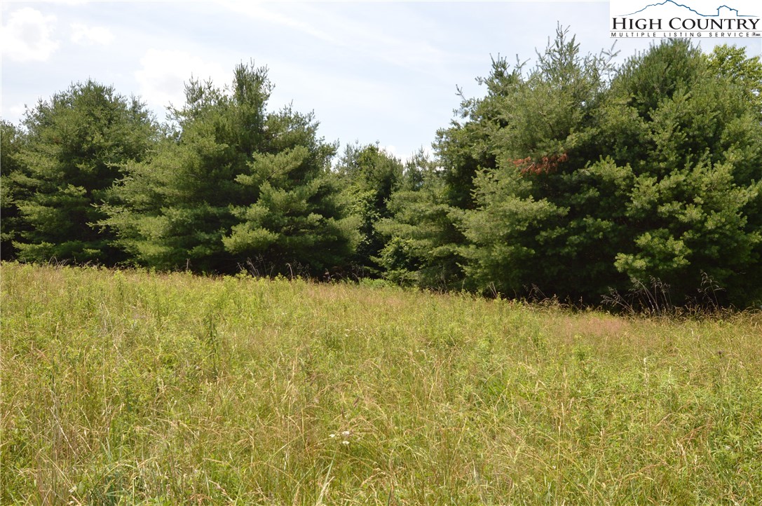 Fox Ridge Road Sparta, NC 28675 - Photo 24 of 40 a view of lake view