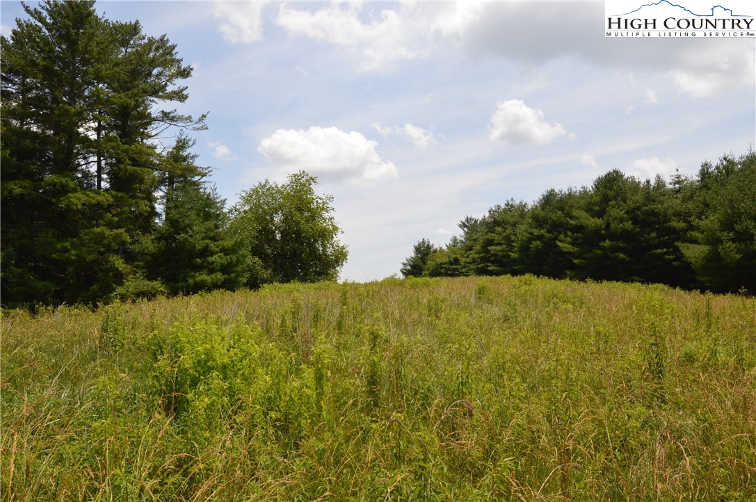 Fox Ridge Road Sparta, NC 28675 - Photo 25 of 40 a view of a lake and yard