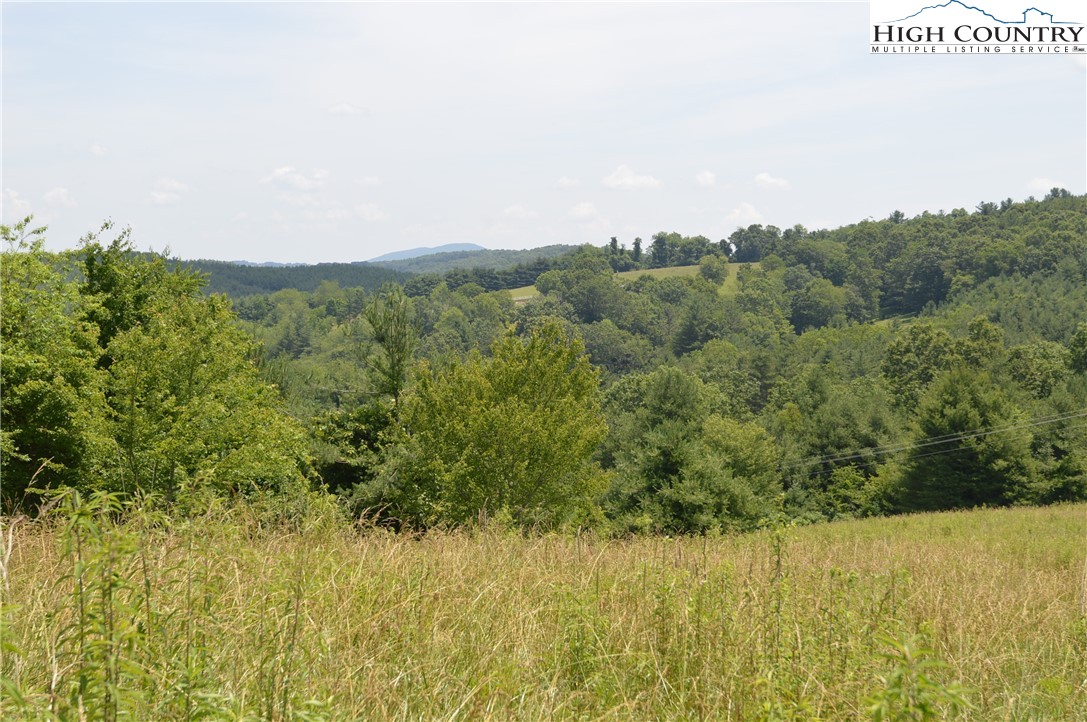 Fox Ridge Road Sparta, NC 28675 - Photo 26 of 40 a view of a lake view