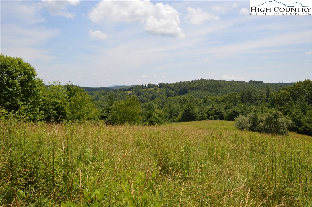 Fox Ridge Road Sparta, NC 28675 - Photo 27 of 40 a view of an ocean from a mountain