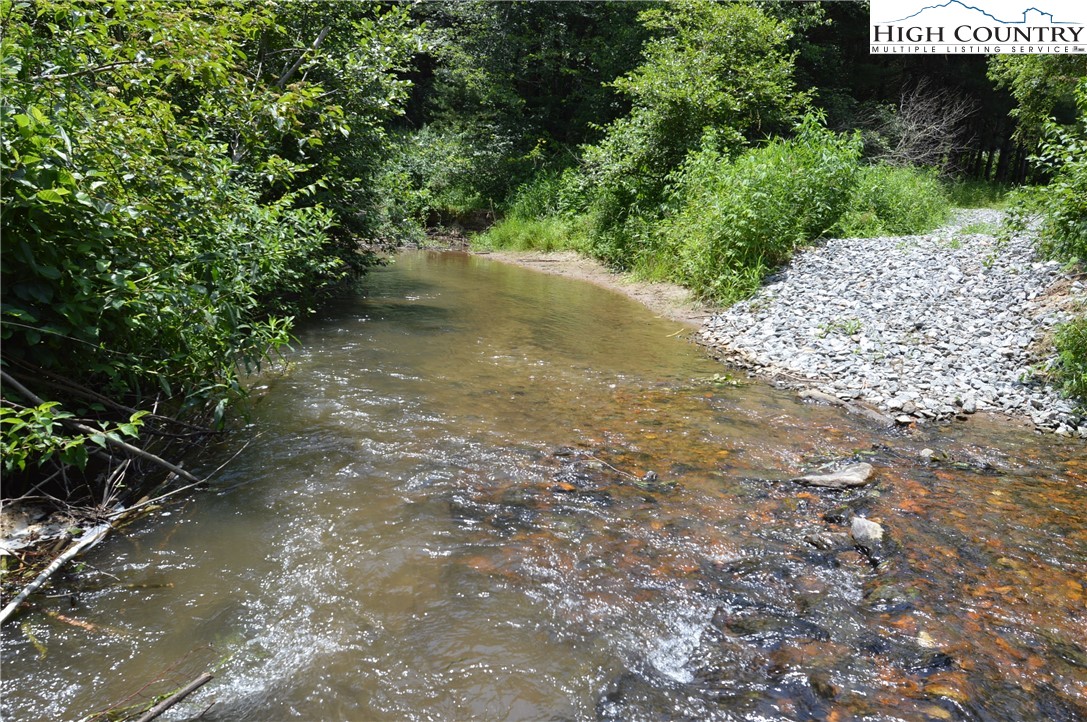 Fox Ridge Road Sparta, NC 28675 - Photo 29 of 40 a view of a yard with plants and trees