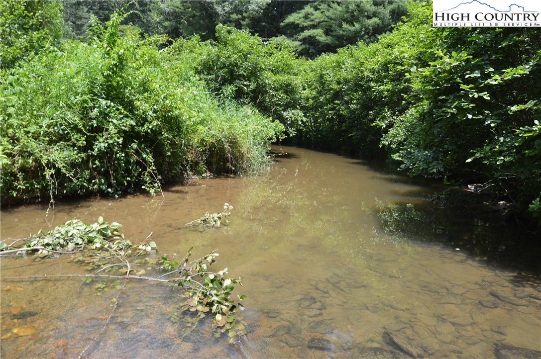 Fox Ridge Road Sparta, NC 28675 - Photo 31 of 40 a view of a yard