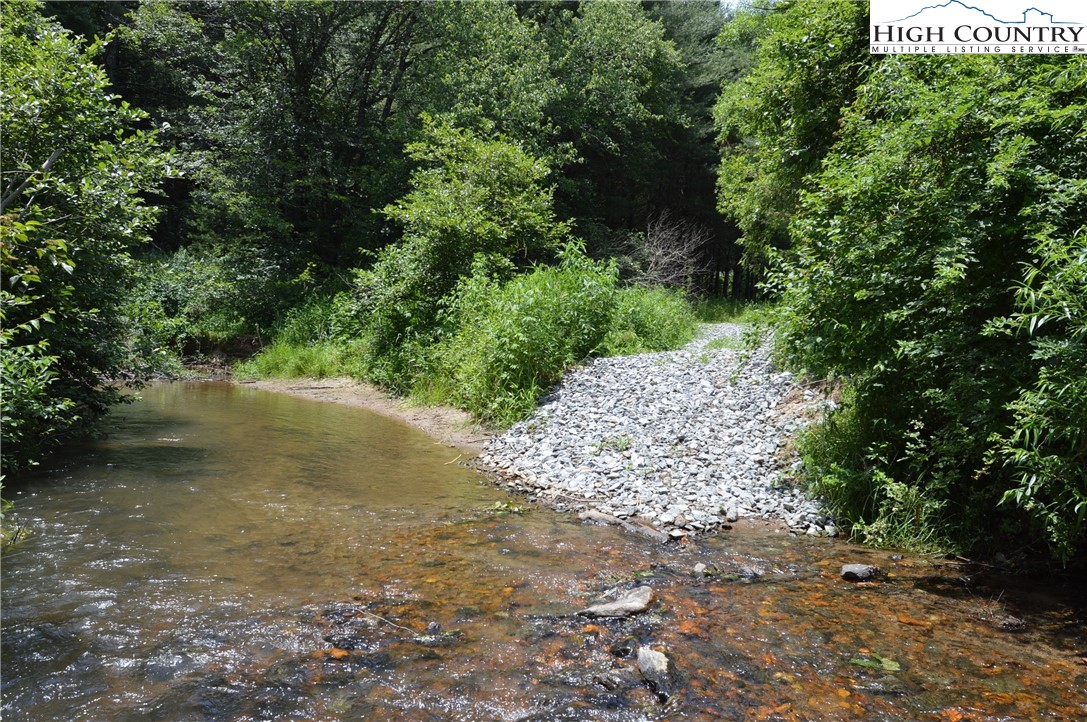Fox Ridge Road Sparta, NC 28675 - Photo 32 of 40 a view of a road with plants and trees