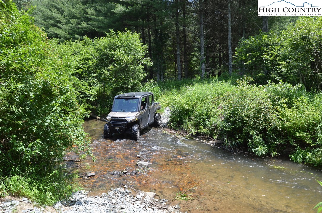 Fox Ridge Road Sparta, NC 28675 - Photo 33 of 40 a garden view with a bench