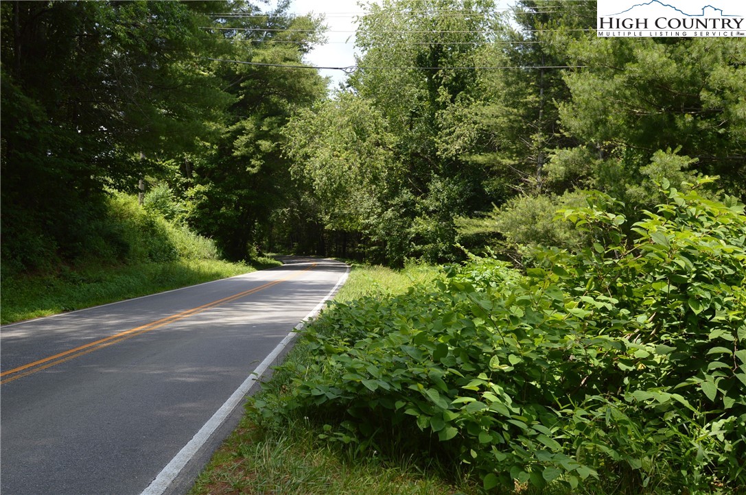 Fox Ridge Road Sparta, NC 28675 - Photo 37 of 40 a view of a garden