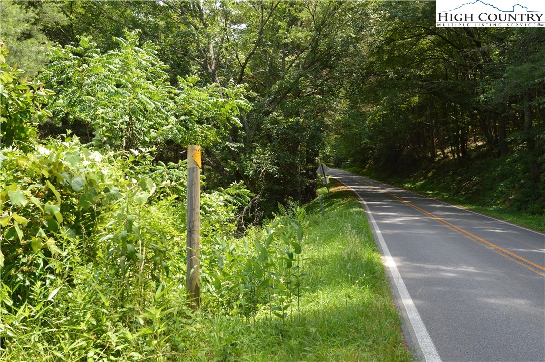 Fox Ridge Road Sparta, NC 28675 - Photo 38 of 40 a view of yard