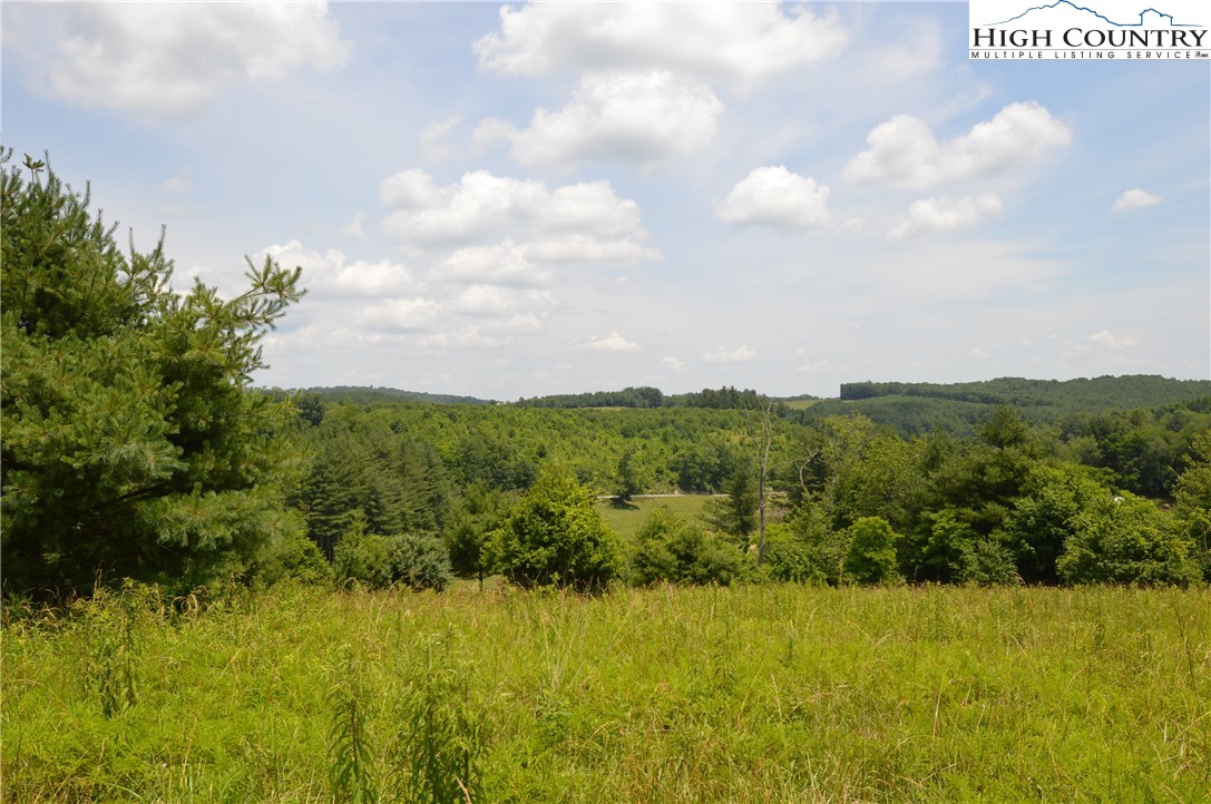 Fox Ridge Road Sparta, NC 28675 - Photo 4 of 40 a view of an ocean