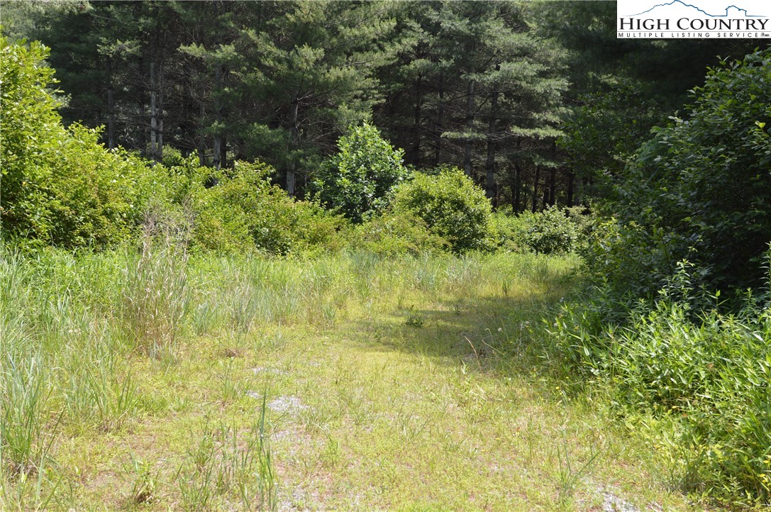 Fox Ridge Road Sparta, NC 28675 - Photo 5 of 40