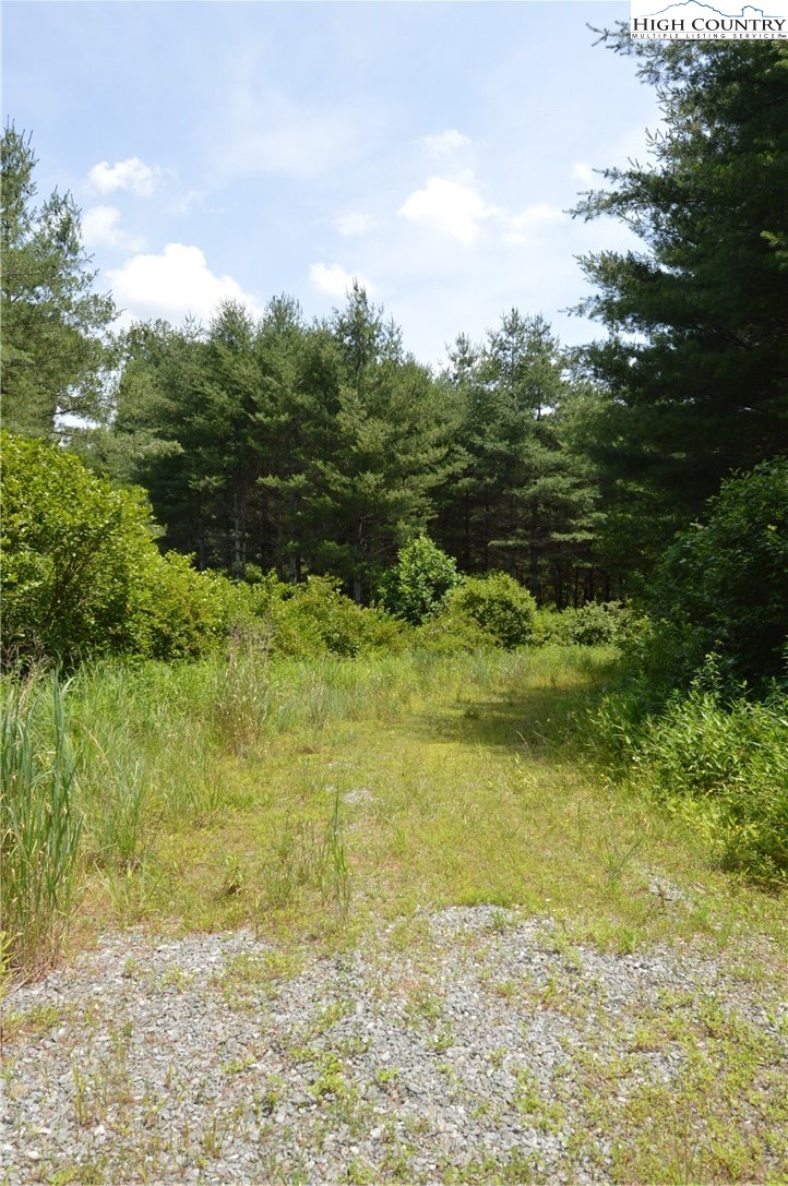 Fox Ridge Road Sparta, NC 28675 - Photo 6 of 40 a view of an ocean view