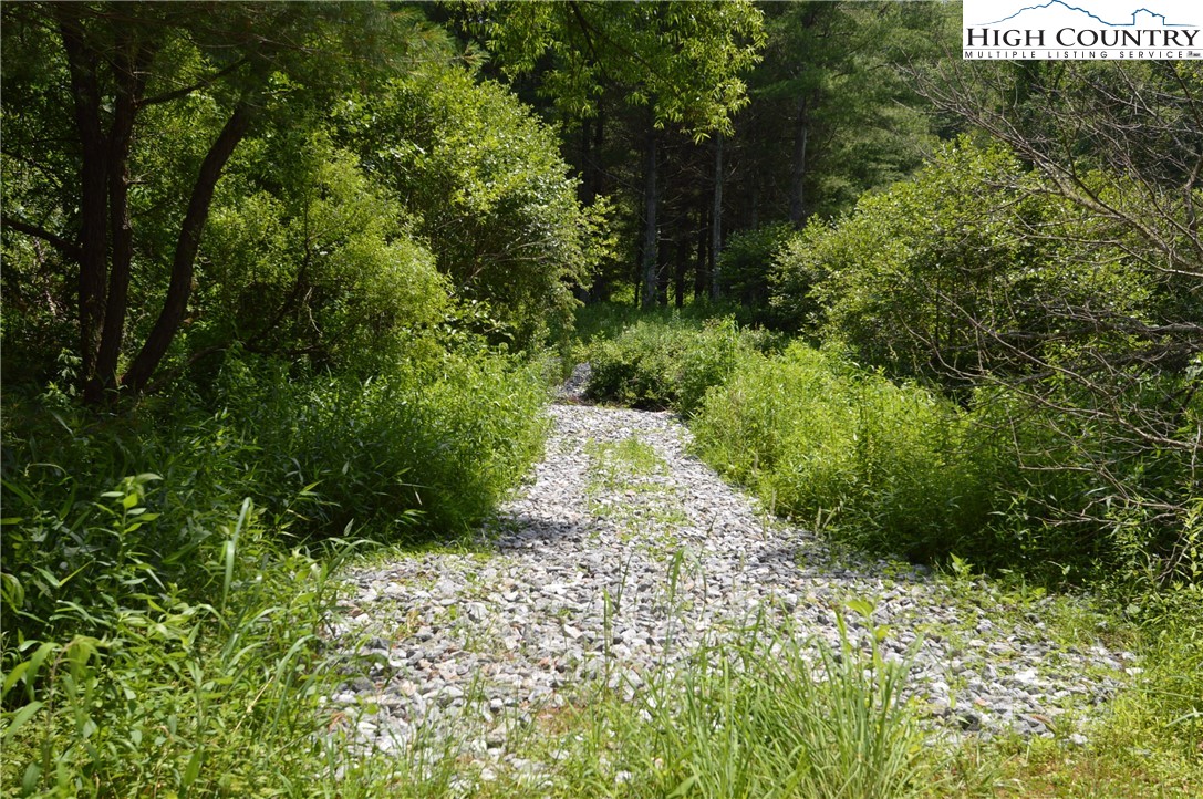 Fox Ridge Road Sparta, NC 28675 - Photo 7 of 40 a view of a pathway both side of yard