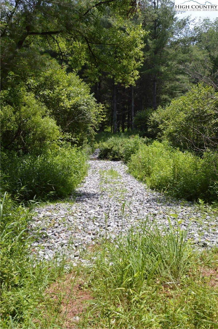 Fox Ridge Road Sparta, NC 28675 - Photo 8 of 40 a pathway of a yard
