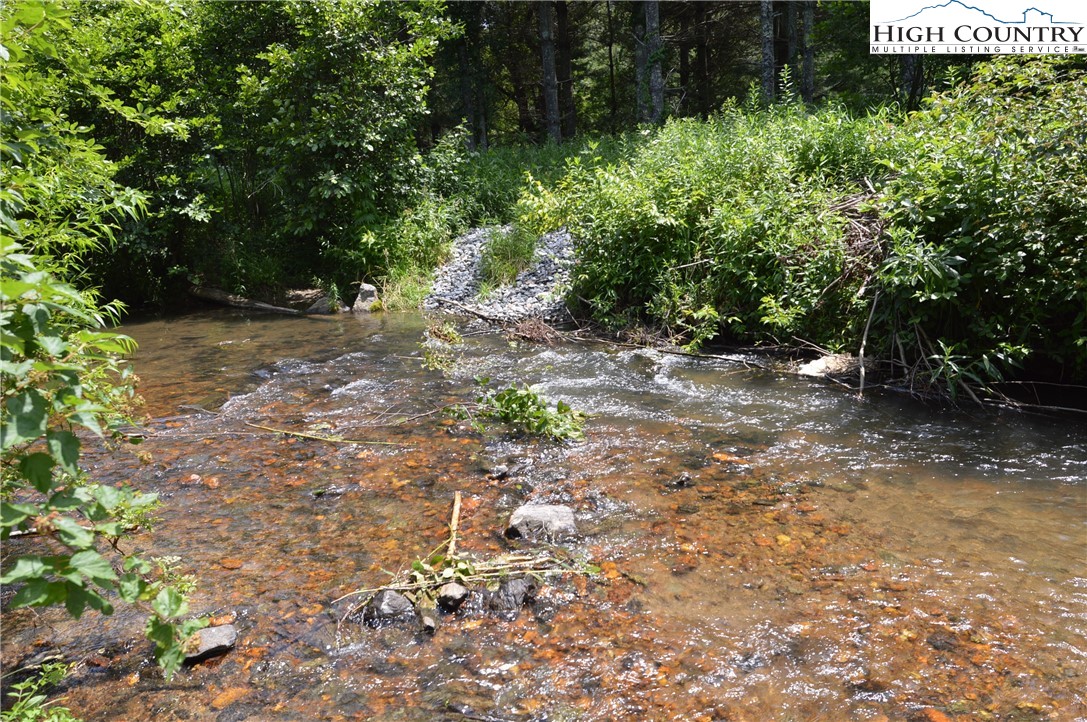 Fox Ridge Road Sparta, NC 28675 - Photo 10 of 40 a view of a forest with trees