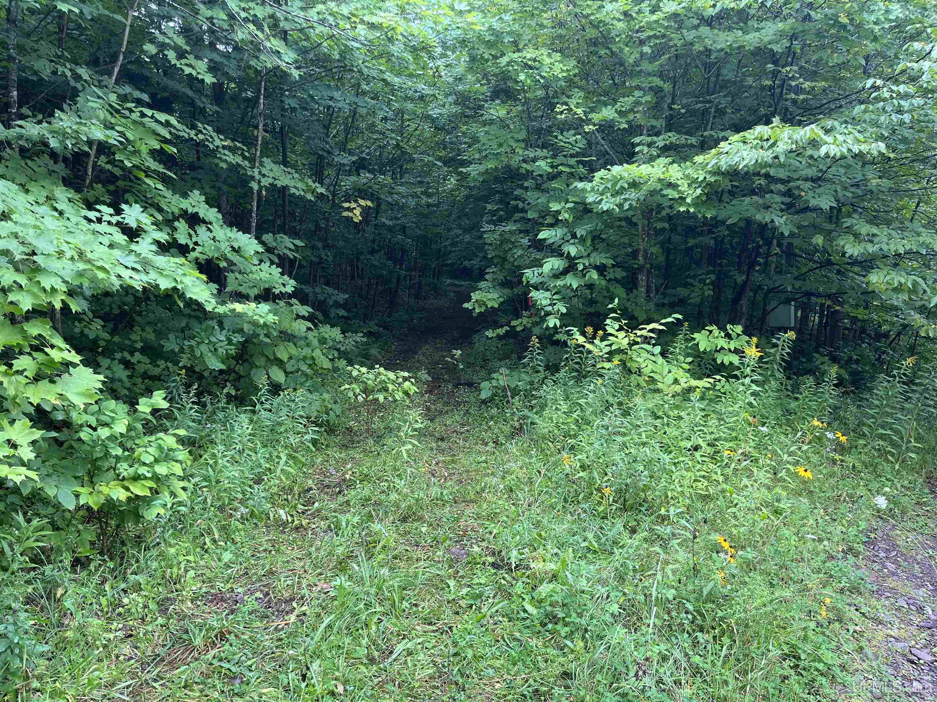 Tbd Tbd Algoma Road Mass City, MI 49948 - Photo 2 of 9